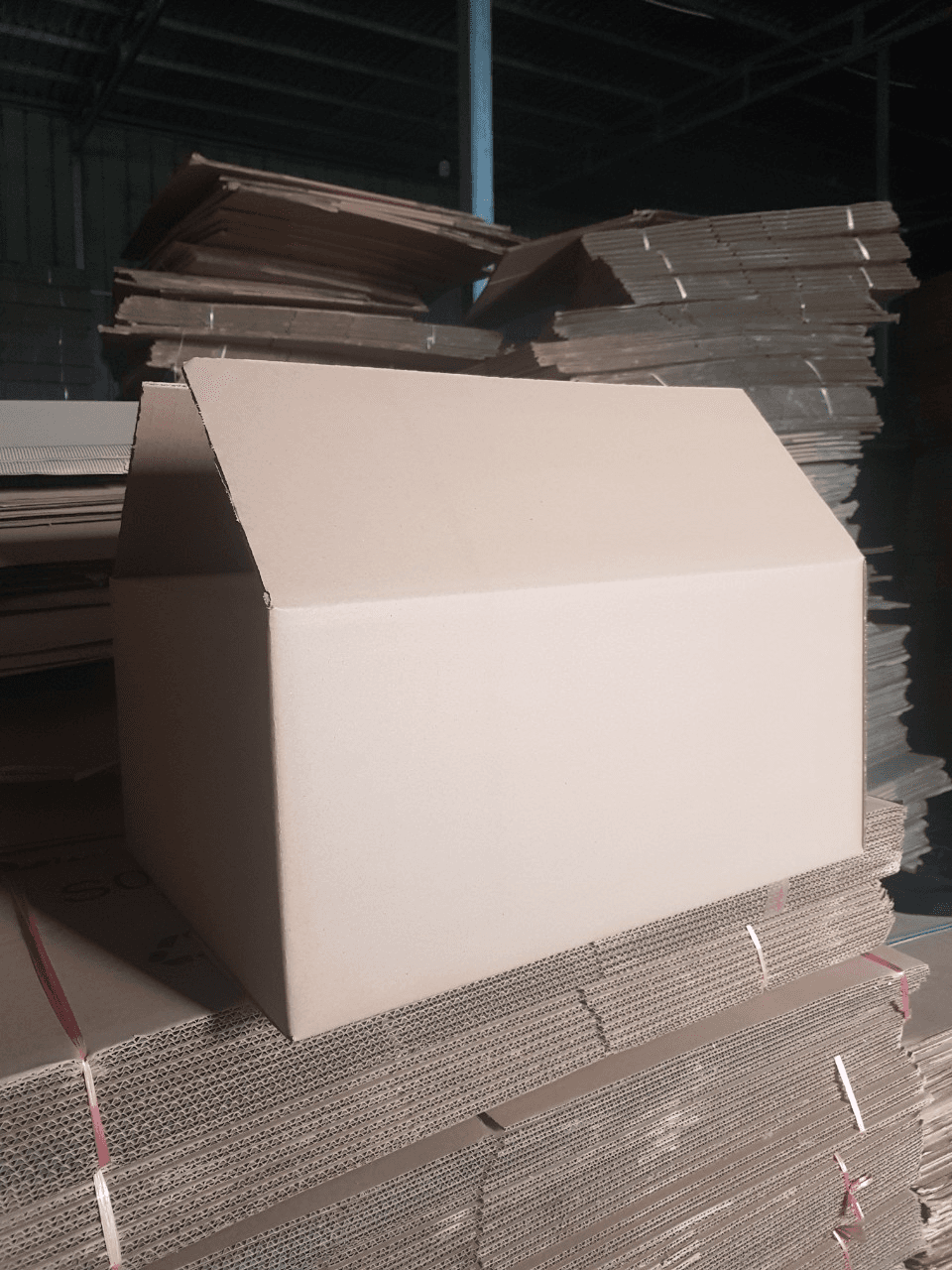 Thùng Carton 3 Lớp, 51x31x25 cm